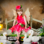 Fairies and Elves Photography